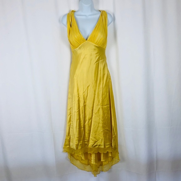 Cache Dresses & Skirts - Cache Silk ruched bodice maxi dress 8